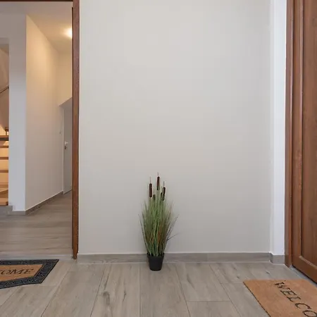 Apartment Tomi Pula